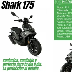 Moto Shark 175 