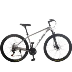 Bicicleta de Montaña, Medida 26, Plateada