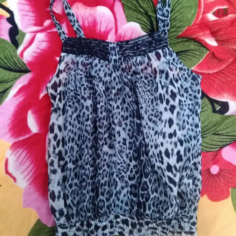 Blusa