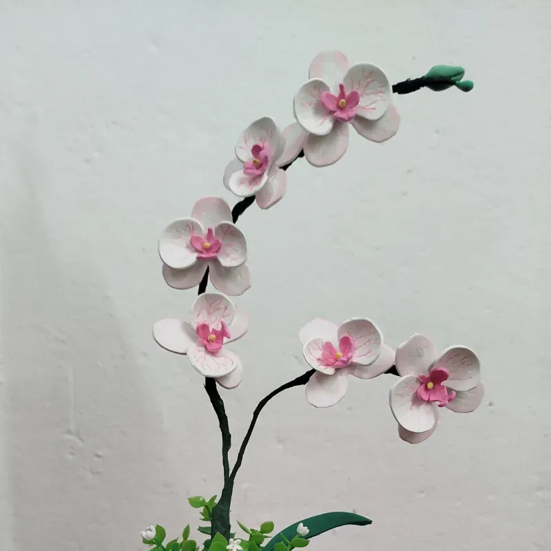 Orquídeas 