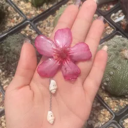 Clip flor de resina 