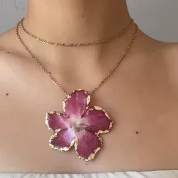 Collar de Acero inoxidable 