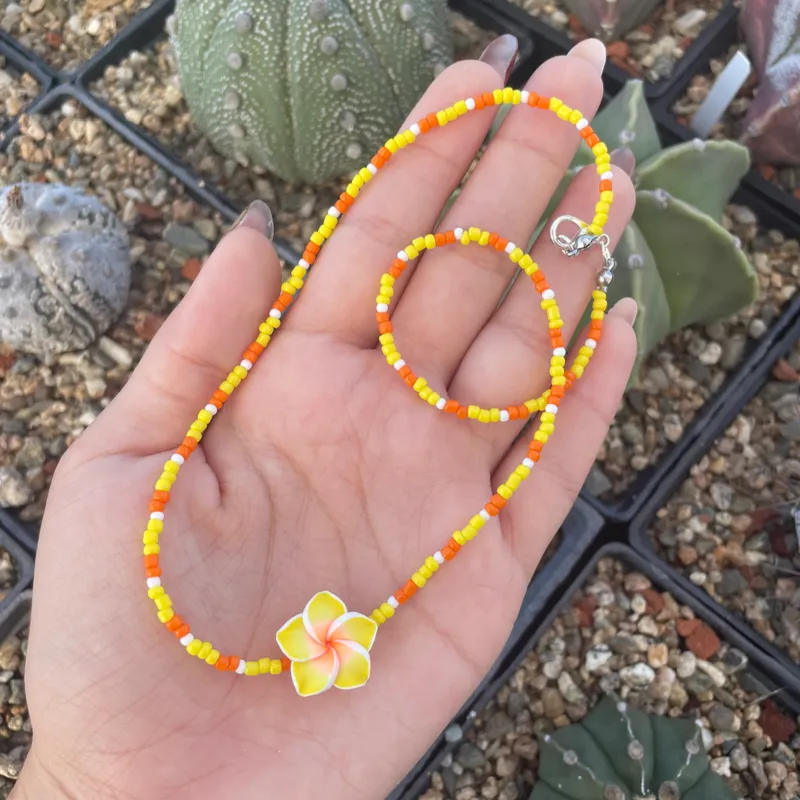 Collar de cuentas y plumeria 