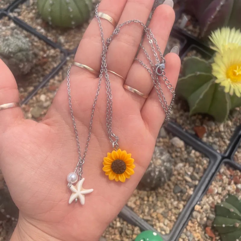 Collares de Acero inoxidable 