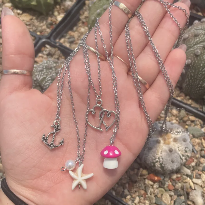 Collares de Acero Inoxidable 