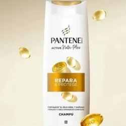 Pantene Pro-V Repara & Protege - 19949