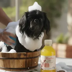 Champú para mascotas 