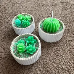 Velas artesanales aromáticas en forma de cactus 🌵