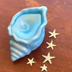 Velas artesanales aromáticas con forma de caracola 