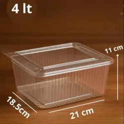 ENVASE EN FORMA DE TINA 