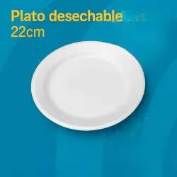 PLATO 22 CM 