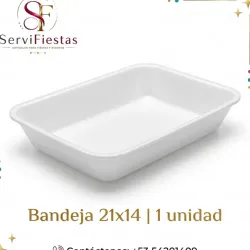 Bandeja de plástico 21x14 