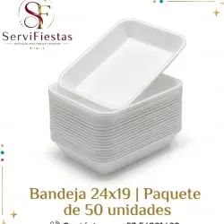 Bandeja de plástico 24x19
