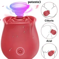 Succionador de Clítoris (Satisfyer) 🌹