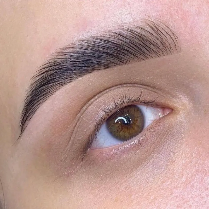 Laminado/Depilación/Henna