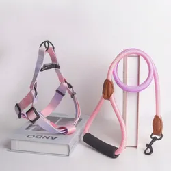 Conjunto de arnés y correa