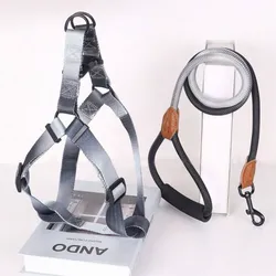 Conjunto de arnes y correa
