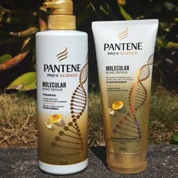 Champú y Acondicionador Molecular Pantene💖