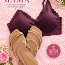 Ajustador y chancleta