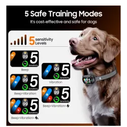 Collar entrenador para perros