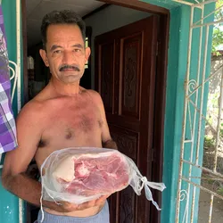 ENTREGAS ✅