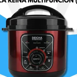Olla Reina Multifunción (5L)