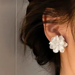 Aretes✨