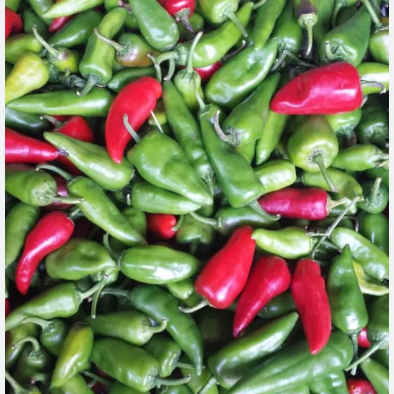 Aji Chay