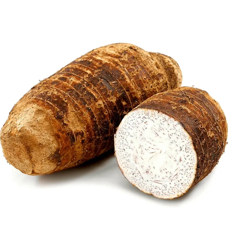 Malanga