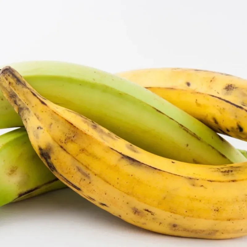 Plátano macho