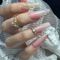 Set Nuevo con Polvo Cover