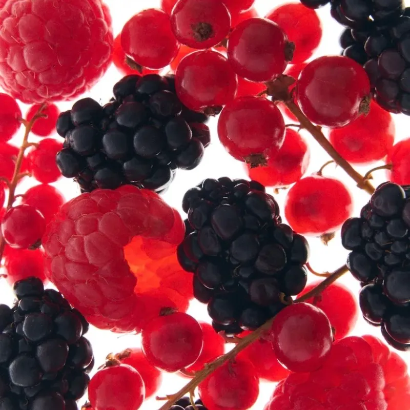 Berry Nightfall