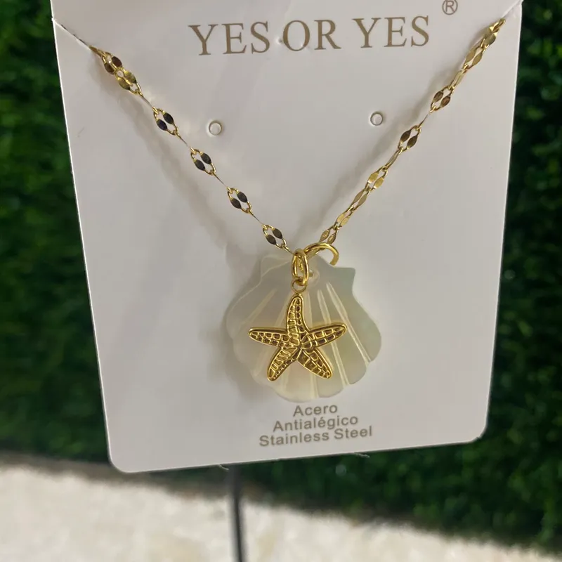 Cadena concha y estrella 