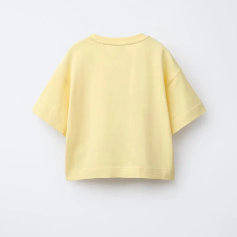 Camiseta heavy Weight lisa