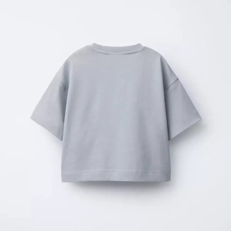 Camiseta heavy weight lisa