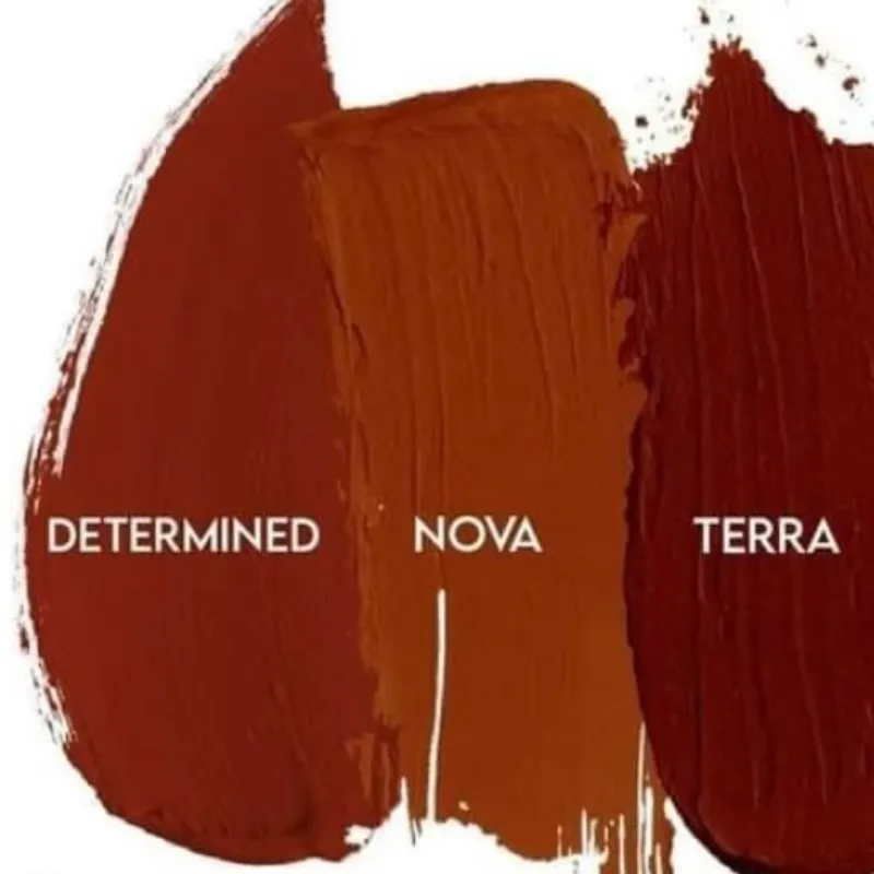 Lip Matte Determined 