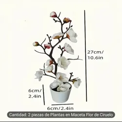 Pack de 2 macetas con Orquídeas