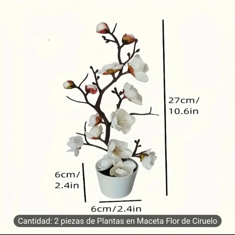 Pack de 2 macetas con Orquídeas