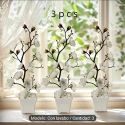 Pack de 3 Macetas con Orquídeas