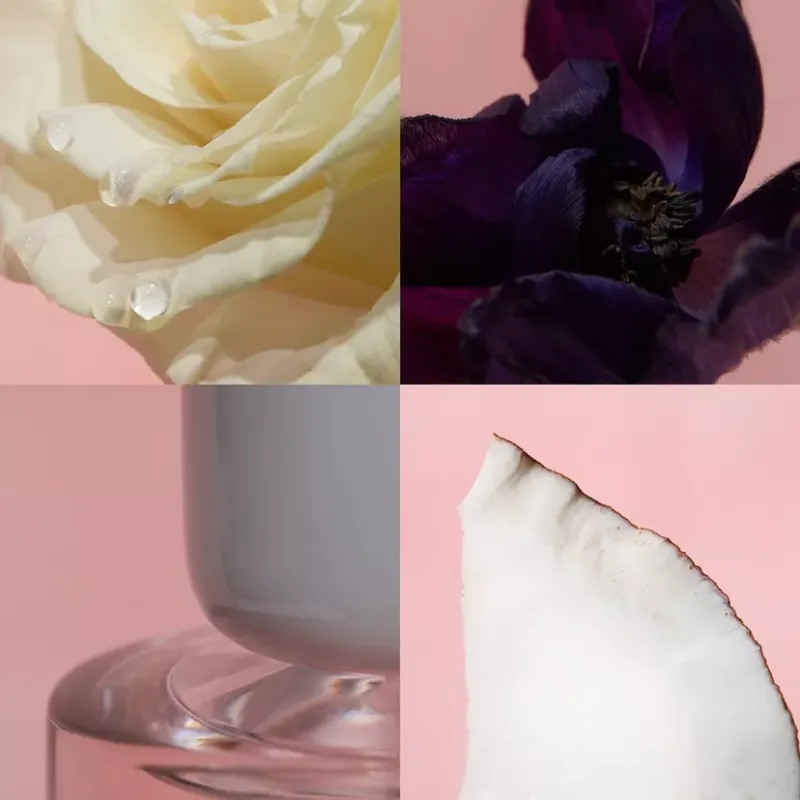 Perfume Wonder Rose