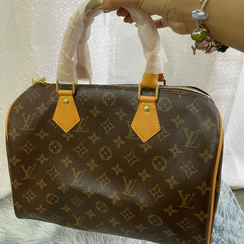 Cartera original Louis V