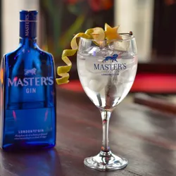 Gin Tonic Masters 