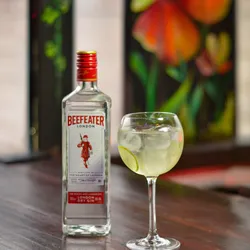 Gin Tonic Beefeater 
