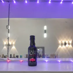 TEQUILA ROSE MINI