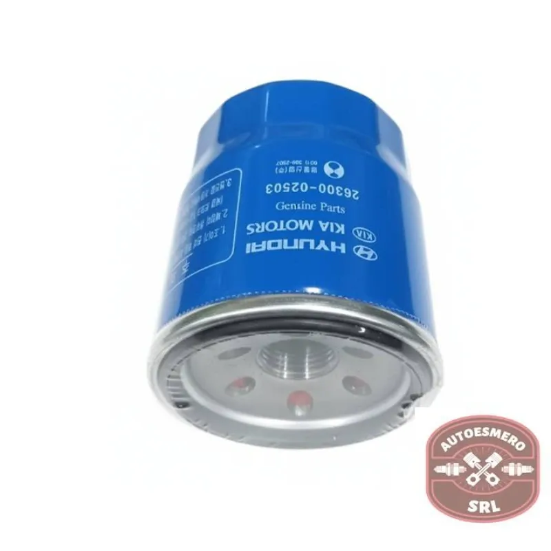 Filtro Aceite Motor 1.1 G4HG Kia Picanto 