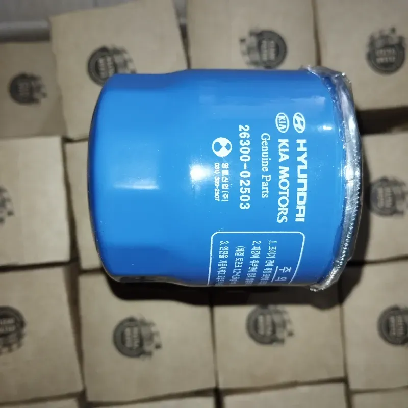 Filtro Aceite Motor 1.1 G4HG