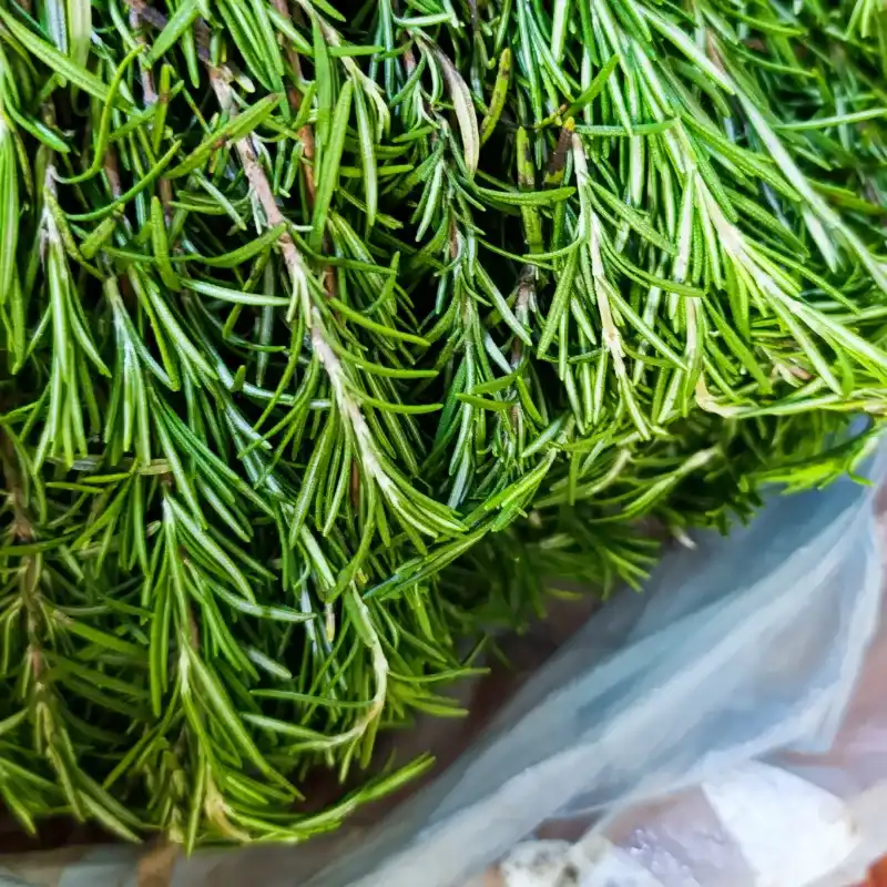 Aceite Romero con Coco 30ml