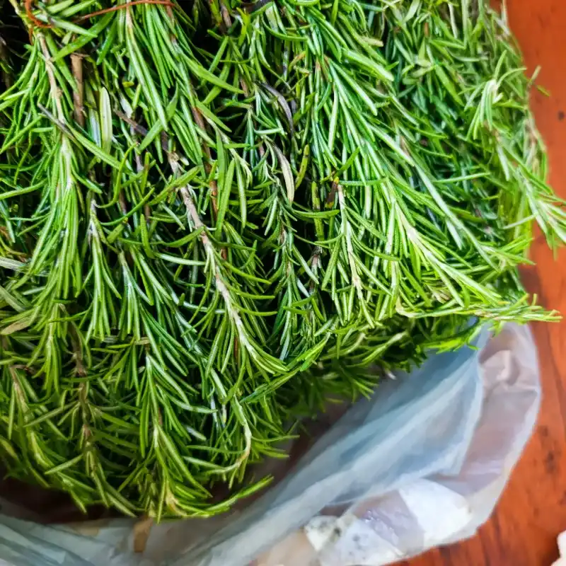 Aceite Romero con Oliva 30ml