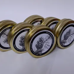 Set 6 Bálsamo de Pino macho 39g