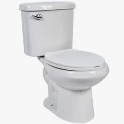 Inodoro de Dos Piezas 